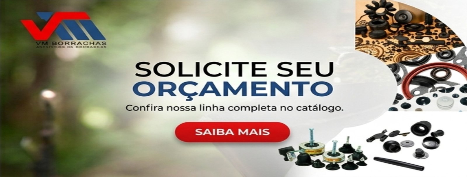 VMBorrachas